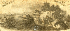 GA $1 MACON The Georgia Savings Bank Sept. 15th, 1863 Kelly GA9660-05