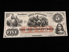 1859 $5 Union County Bank PLAINFIELD State Of New Jersey Obsolete Banknote
