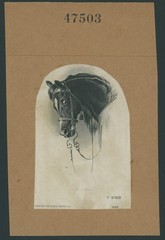 American Bank Note Company Vignette Proof, «My Horse»