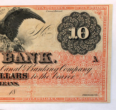 1800’S Canal Bank of New Orleans $10 Note – Uncirculated, Ungraded Note