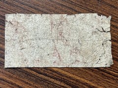 50 Cents Obsolete Currency The State of North Carolina 1861 Circulated #75431
