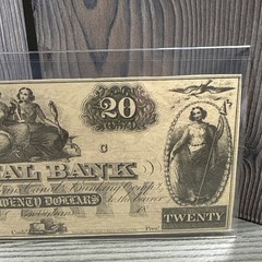 United States 20 Dollars Nouvelle Orléans Double Couleur Canal Bank