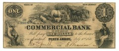 1856 Commercial Bank of New Jersey Perth Amboy NJ $1 Obsolete Note (67658)
