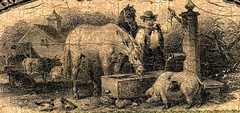 MD $2 ELKTON Farmers and Merchants Bank of CECIL County 1860s Haxby MD-190 G4b